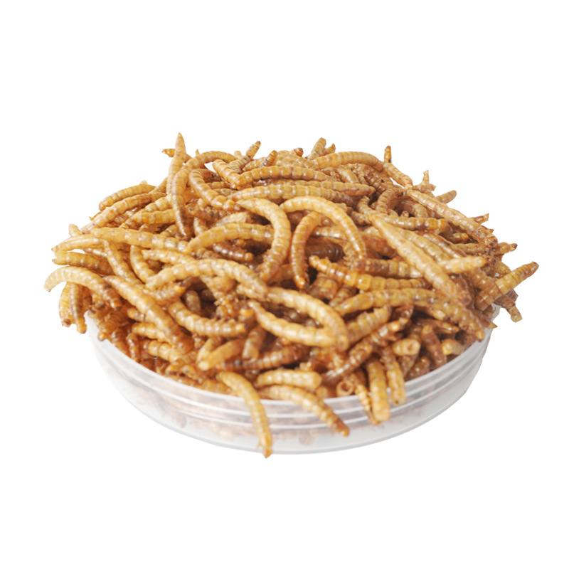 Food Protein Snacks - Snack ad Alto Contenuto Proteico per