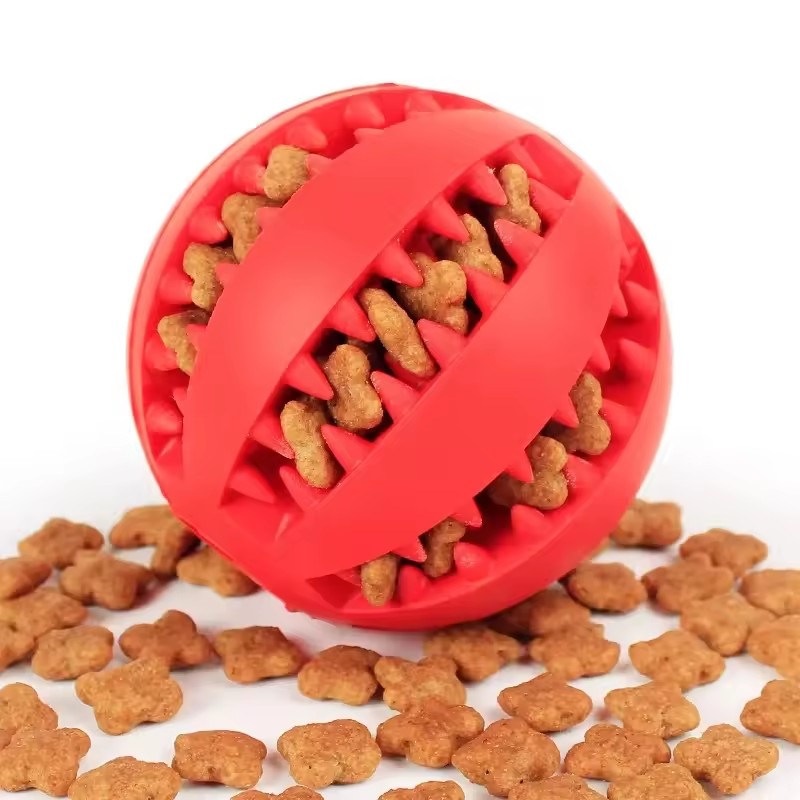 1 pz Giocattolo per Cani, Pall - Food Snacks Distribution recensione e prezzo